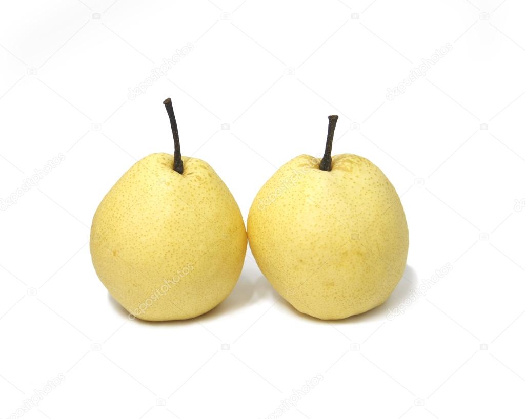 chinese pear