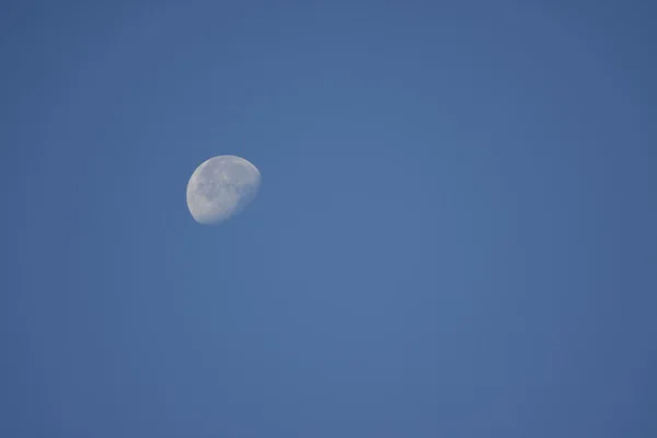 Měsíc v ranní — Stock fotografie