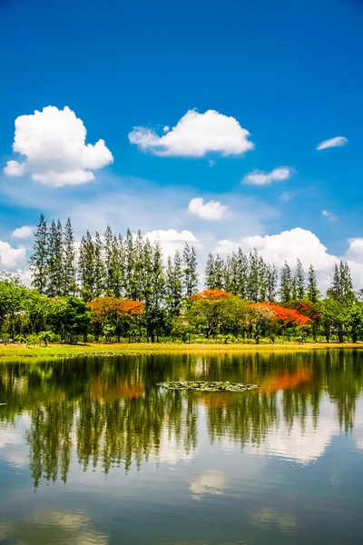 Pond in park — Stock Photo, Image