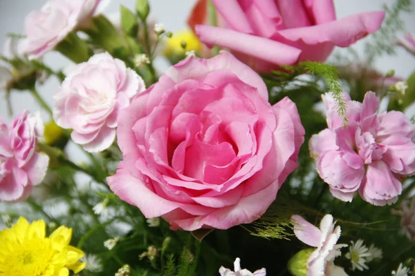 Pink roes in vase — Stock Photo, Image