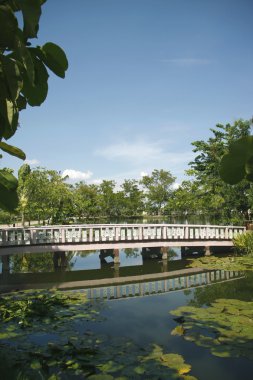 Parktaki tahta köprü