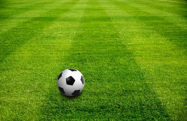 Una pelota en el campo de fútbol — Foto de Stock