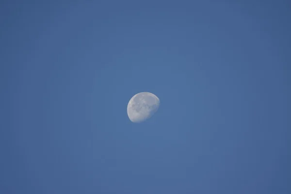 Moon on morning — Stock Photo, Image