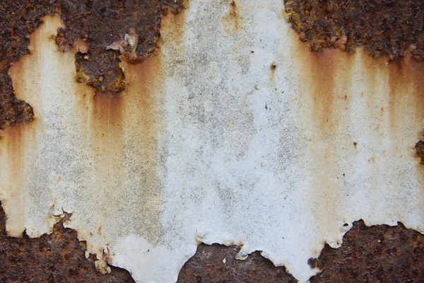 Rost järn blad — Stockfoto