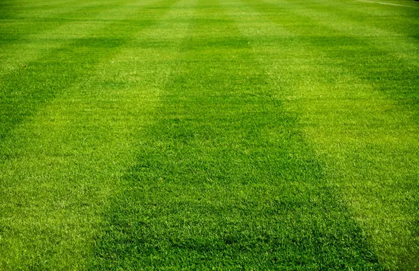 Campo de futebol — Fotografia de Stock