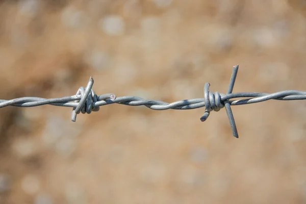 Barbed fence with ground — Stock Photo, Image