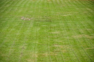 kesme çim futbol sahası yapıldı.
