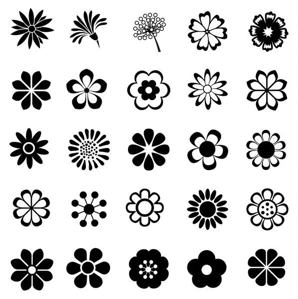 flower vector set