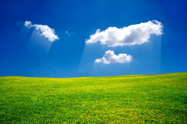 푸른 하늘과 녹색 풀밭 — 스톡 사진