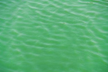 Dalga yeşil su