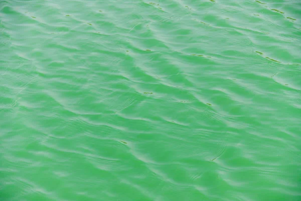 Vague d'eau verte — Photo