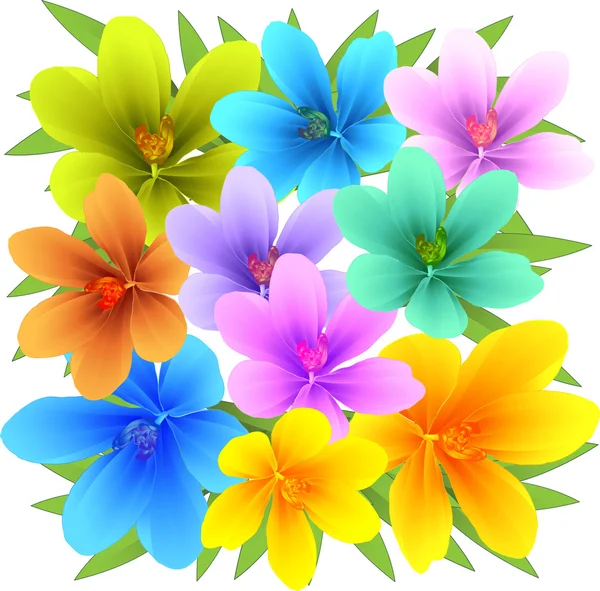 Schöne mehrfarbige Blumen — Stockvektor