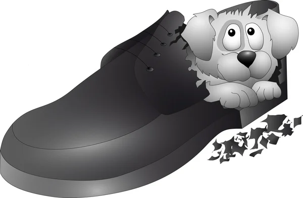 Собака лежит в ботинке — стоковый вектор