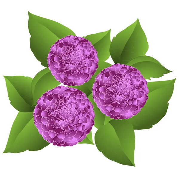Bouquet di foglie di fiori — Vettoriale Stock