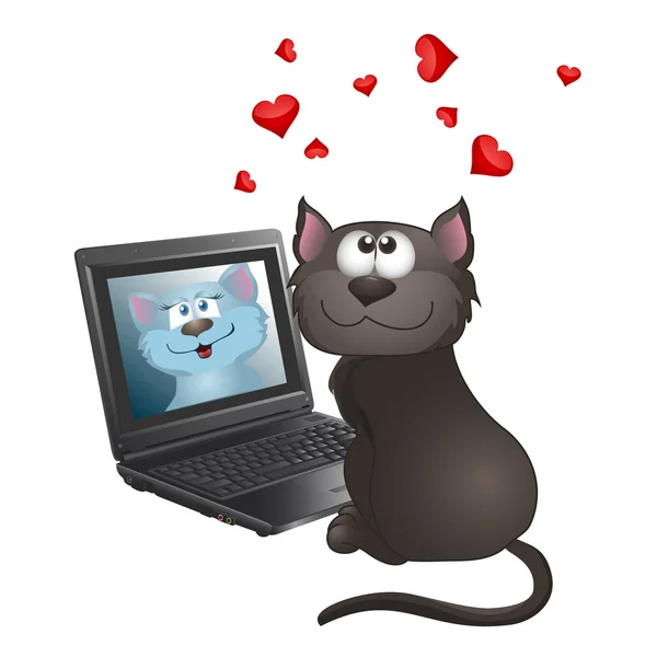 internet olanakları