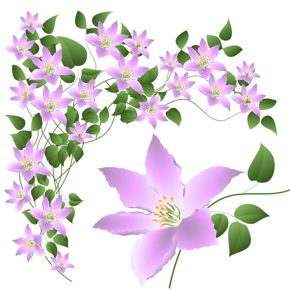 Dekorativní abstraktní kompozice s květy a listy — Stockový vektor