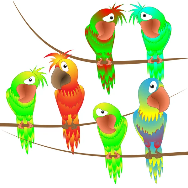 Loros coloridos encantadores — Vector de stock