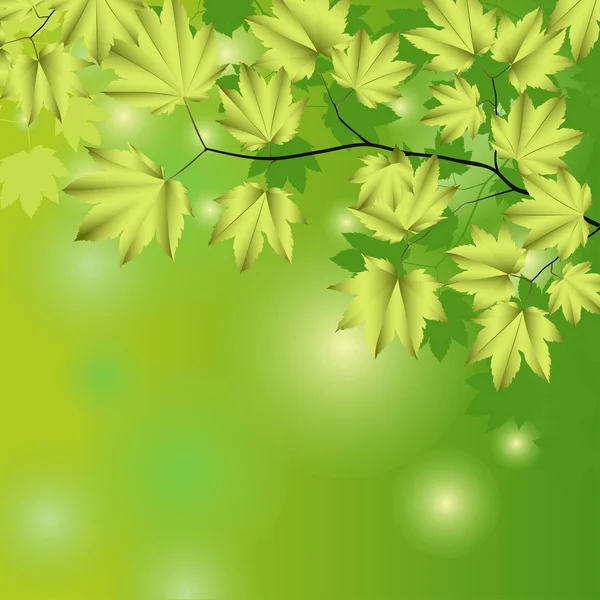 Abstrakter Hintergrund mit grünen Blättern. — Stockvektor