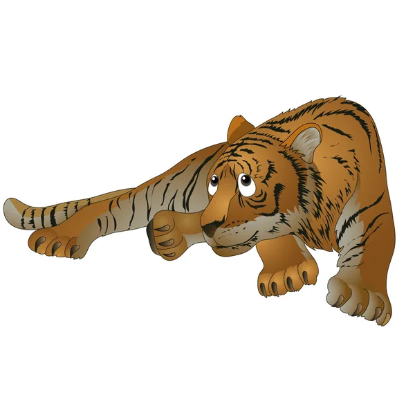 Tiger — Stockvektor