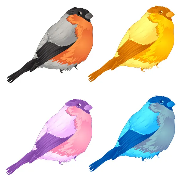 鸟类 — 图库矢量图片