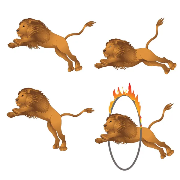 Lions in the jump