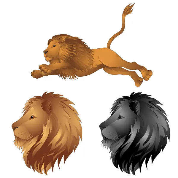 Löwen auf dem Sprung — Stockvektor