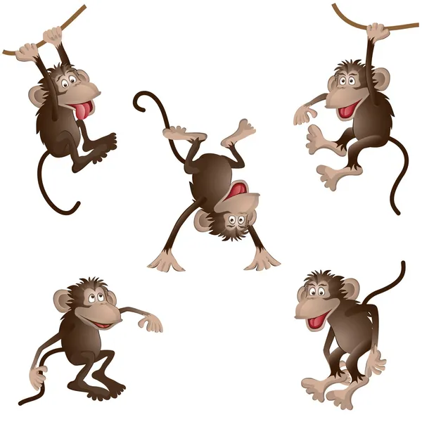 Funny monkey — Stock Vector