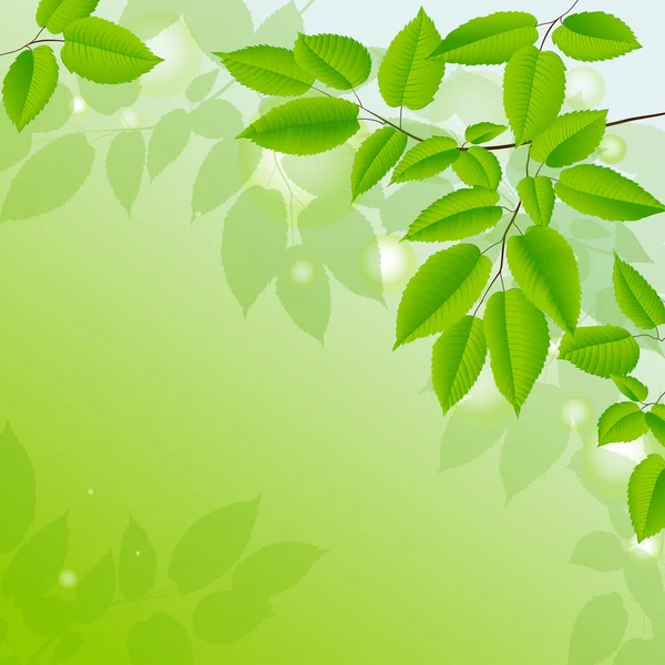 Yeşil yapraklı soyut arkaplan.