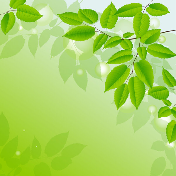 Abstract background with green leaves.