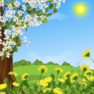 Yeni gelişen bir ağaç arka plan