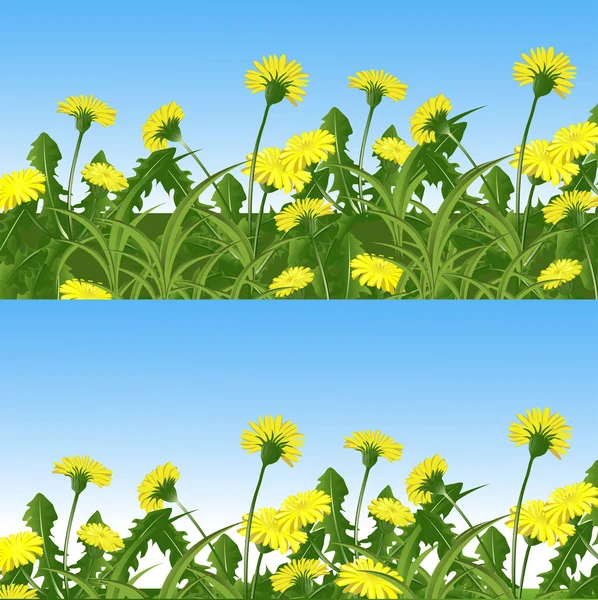 Dandelions — Stock Vector