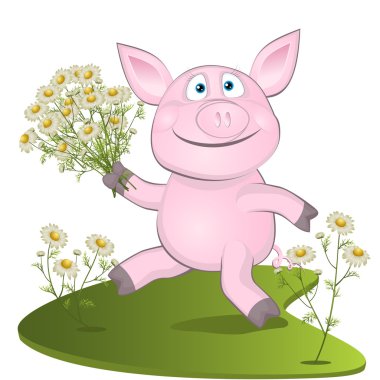 camomiles bir buket ile domuz