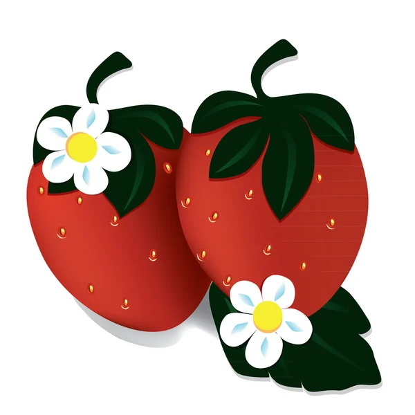 iki olgun kırmızı çilek