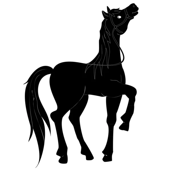 Μαύρο άλογο — Διανυσματικό Αρχείο