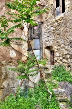 La vegetacion las ruinas istila