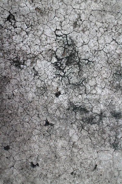 床の質感 — ストック写真