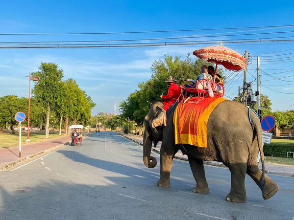 Ayutthaya Thailand December 2021 Tourists Ride Elephant Tour Ancient City — ストック写真