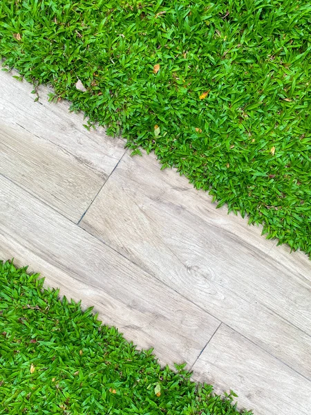 Wood Walkway Green Grass — ストック写真