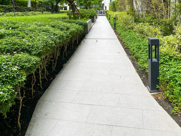 Beautiful Walkway Garden Trees — Stock Photo, Image