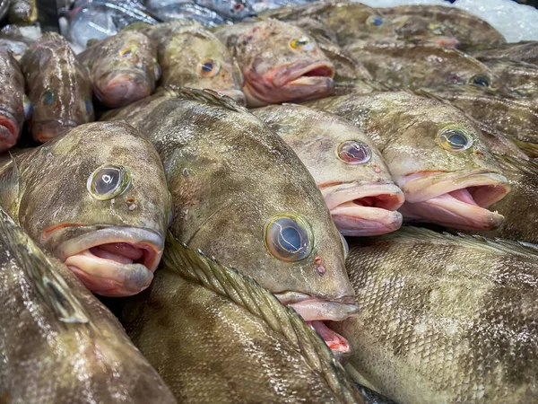 Νωπά Ψάρια Του Ομίλου Στην Αγορά Προς Πώληση — Φωτογραφία Αρχείου