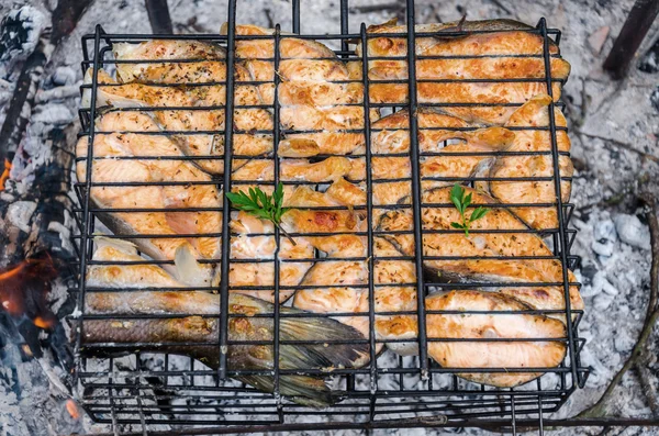 Vissen op een grill — Stockfoto