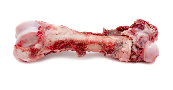 Bone — Stock Photo, Image