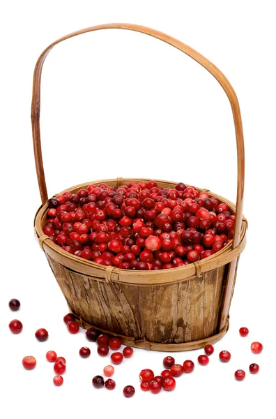 Cranberries in a basket — Zdjęcie stockowe