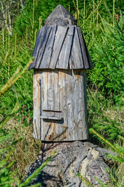 Arı kovanı vahşi arılar için