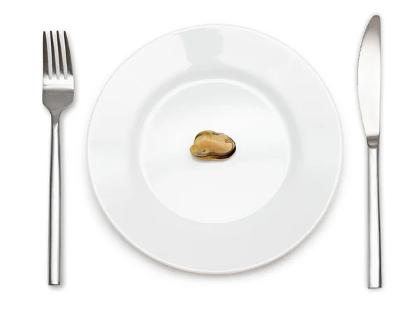 Einzelne Muschel auf einem Teller — Stockfoto