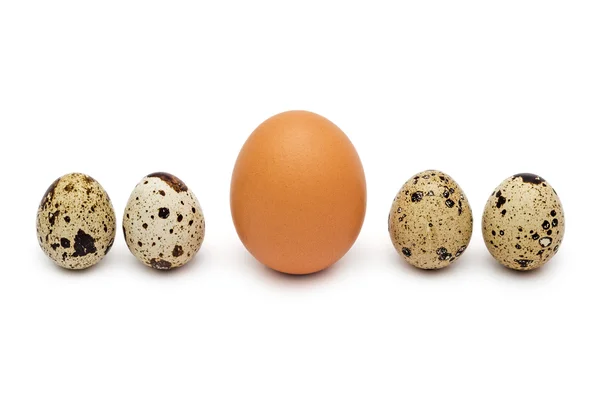 Uova di quaglia e gallina — Foto Stock