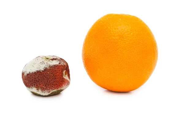 Putrefaction orange — Stock Photo, Image