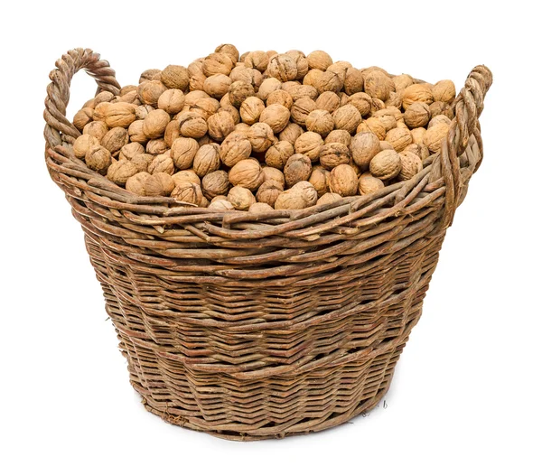 Walnuts in big basket isolated — Stock Photo, Image