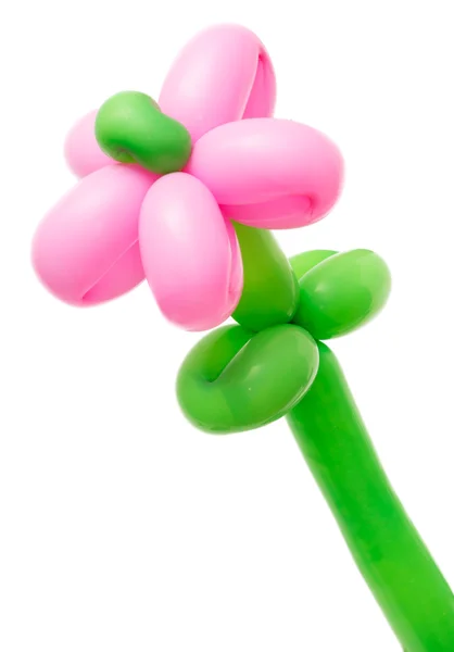 Bunga balon — Stok Foto
