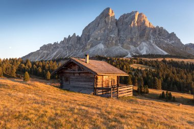 Alp manzarası. Dolomite Dağları 'ndaki ağaçlarla çevrili ahşap kulübe. Güney Tyrol bölgesi. Popüler seyahat yeri. Dolomitlerdeki Passo delle Erbe 'den Peitlerkofel Dağı' nın muhteşem manzarası